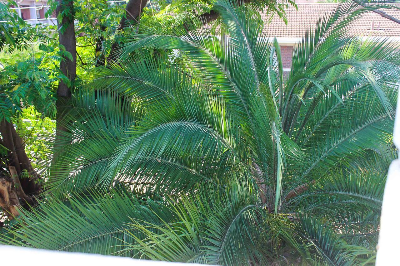 Lolo'S 1Bed Apt-Best Location-2Balconies Χαράρε Εξωτερικό φωτογραφία